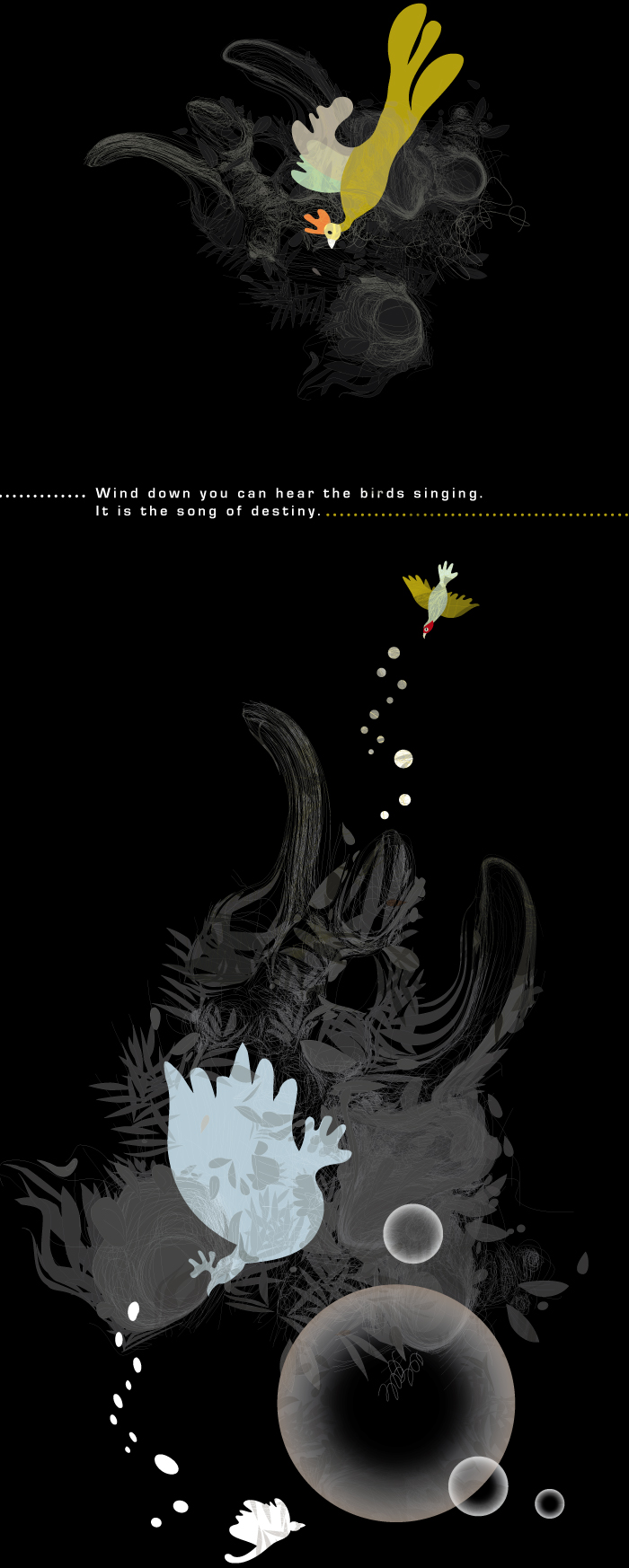 BIrds in the sky, illustrated by Montse Noguera